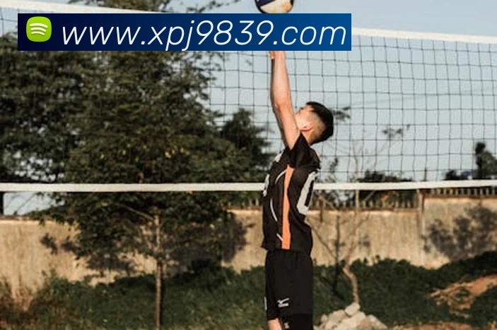 澳门新葡京网站入口平台生态图