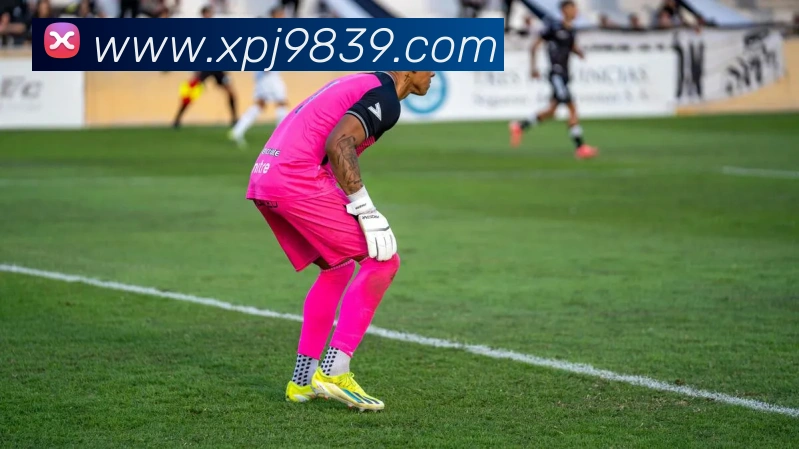 澳门新葡京网站入口APP 封面图